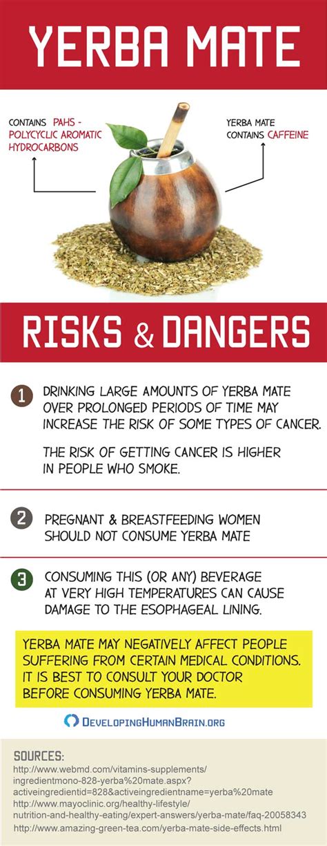 yerba mate dangers.